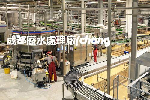 成都廢水處理廠(chǎng)的環(huán)保奇觀(guān)：揭秘水質(zhì)凈化的背后？